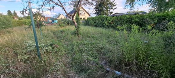 1 chambre Maison à Brandenburg an der Havel, Germany No. 363094 15