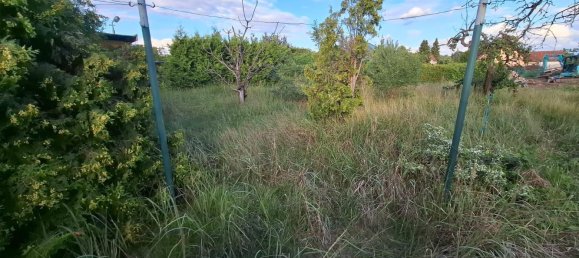 1 chambre Maison à Brandenburg an der Havel, Germany No. 363094 14