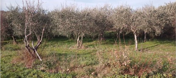 1000m² Land in Cervinara, Italy No. 309726 39