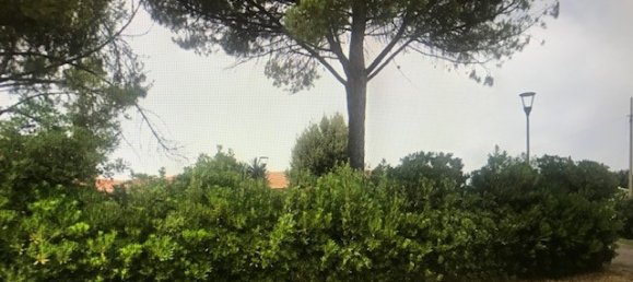 6000m² Commercial property in Scansano, Italy No. 63151 18