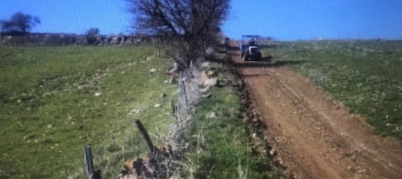 6000m² Commercial property in Scansano, Italy No. 63151 3