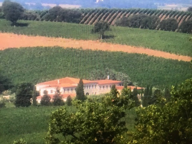 6000m² Commercial property in Scansano, Italy No. 63151