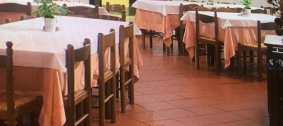 6000m² Commercial property in Scansano, Italy No. 63151 22