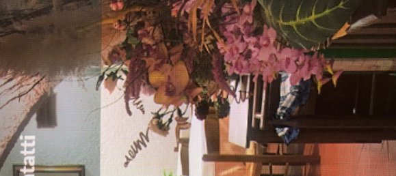 6000m² Commercial property in Scansano, Italy No. 63151 21