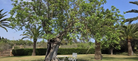 6 Schlafzimmer Haus in Mallorca, Spain, Nr. 156918 14