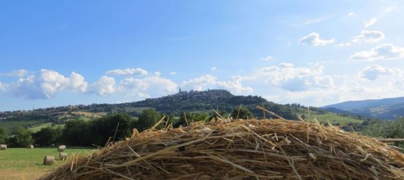 30 rooms House in Todi, Italy No. 55561 13