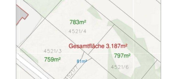 Земельный участок в Хоенемс, Австрия № 135773 6
