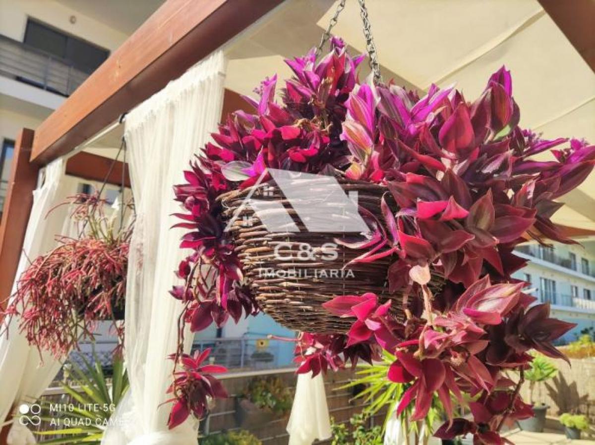 3 غرف نوم شقة في Palmela, Portugal رقم 4806