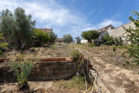 10 bedrooms House in Cabrela, Portugal No. 164987