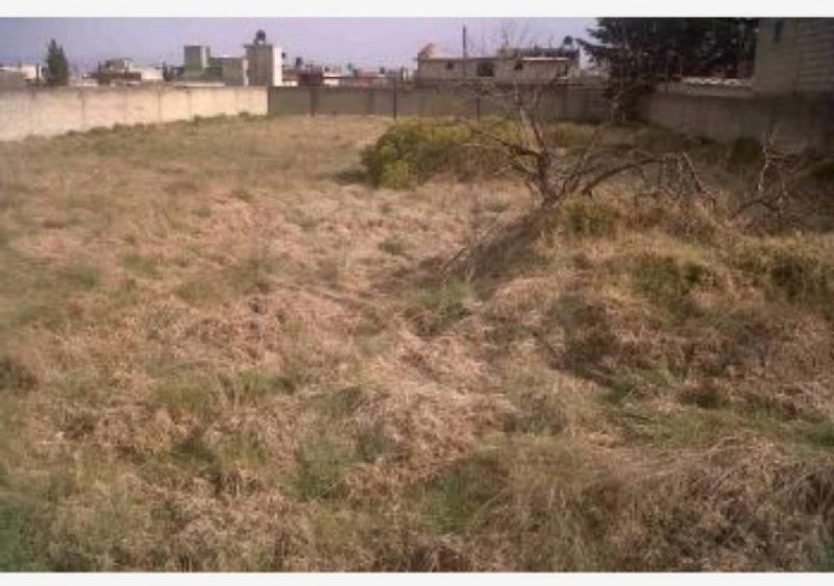 Terreno en San Buenaventura, Mexico No. 203114