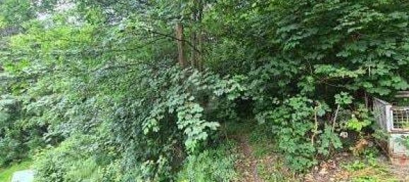  قطعة أرض في Kronach, Germany 1802متر مربع رقم 224591 2