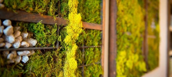 3 غرف نوم شقة في Bagnoregio, Italy رقم 57167 6