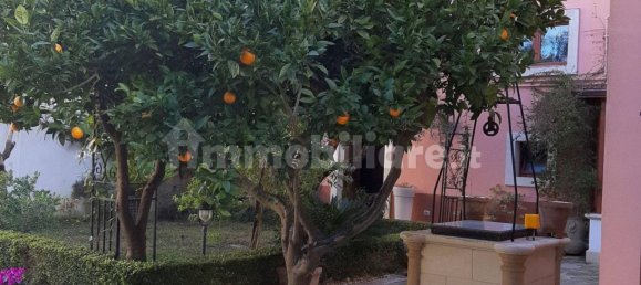 بناية في Galatina, Italy 654متر مربع رقم 319311 4