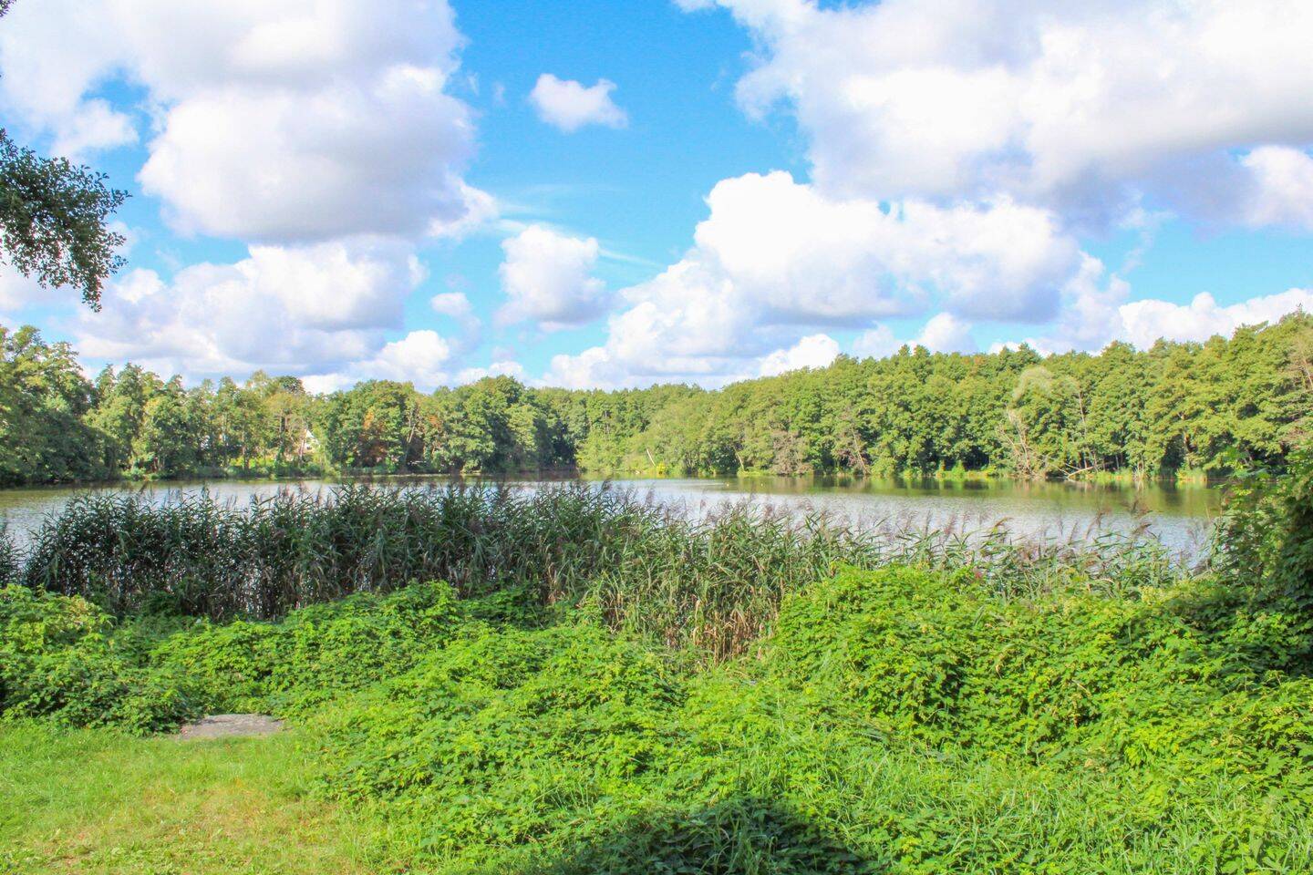 2 rooms Apartment in Oberhavel, Germany No. 294498