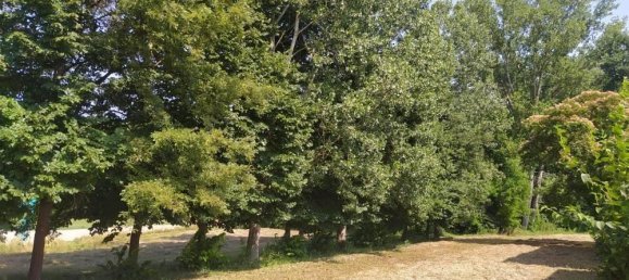 Дом с 7 комнатами в Муризенго, Италия № 116766 5