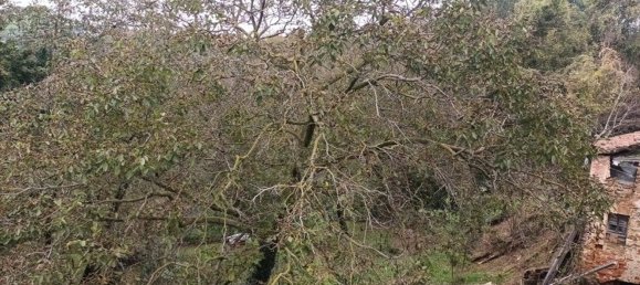 4-salle Maison à Monastero di Vasco, Italy No. 211149 17