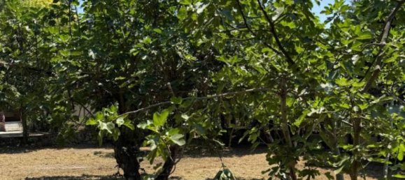 Villa T4 em Liberi, Italy N.º 315257 7