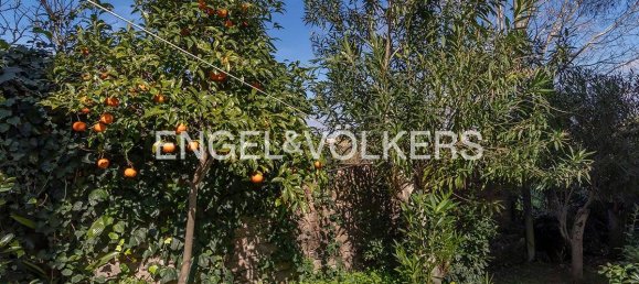 Villa de 4 dormitorios en Ardea, Italy No. 63002 24