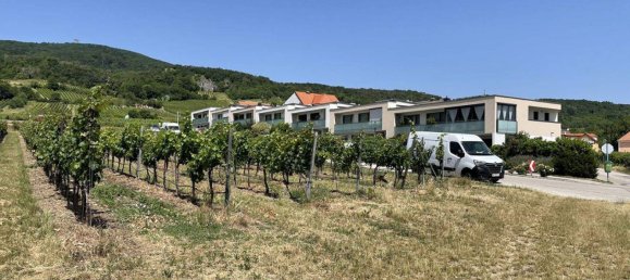 6-salle Maison de ville à Gumpoldskirchen, Austria No. 201853 20