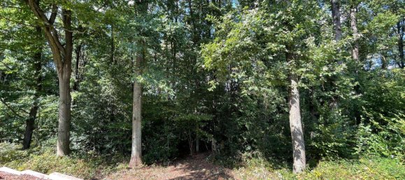 5-Zimmer Stadthaus in Märkischer, Germany, Nr. 218473 5