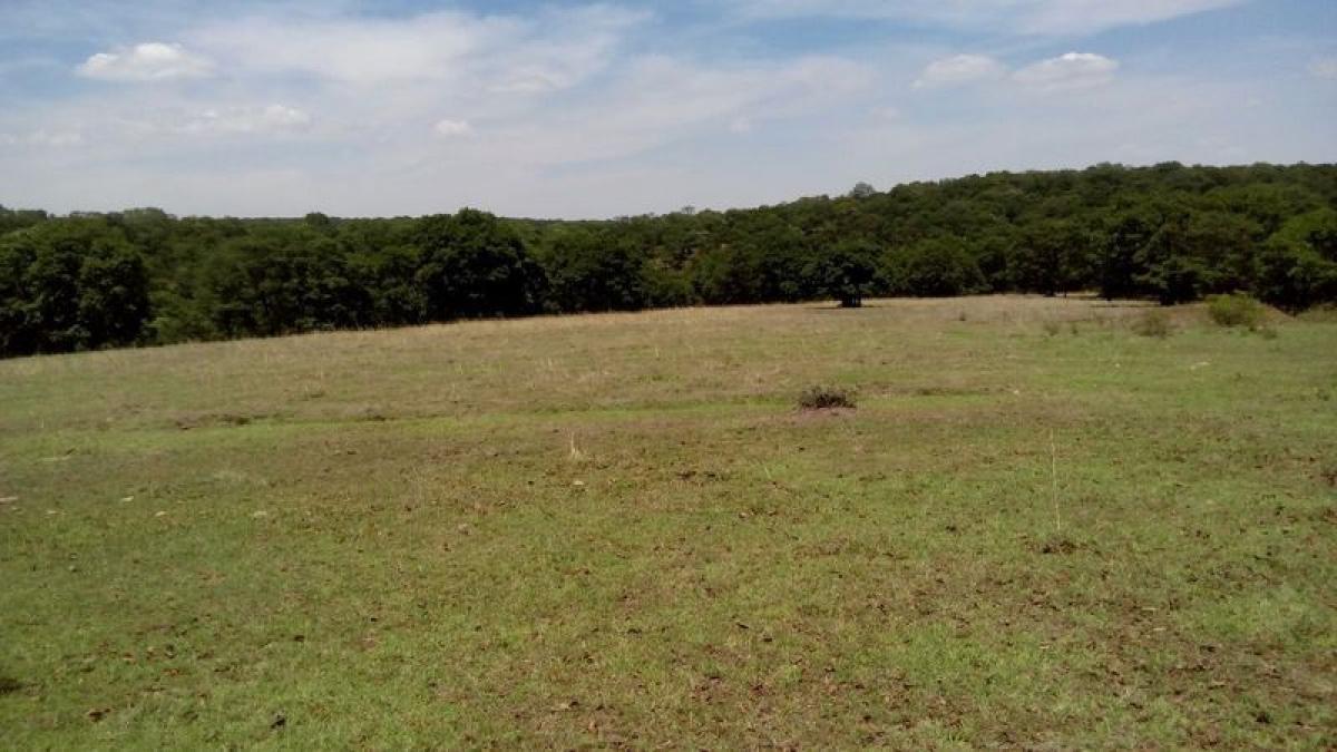 Terreno en Villa del Carbón, Mexico No. 203139