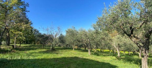 7-salle Maison à Fontanarosa, Italy No. 109713 5