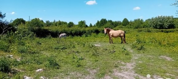 Casa T1 em Auxi-le-Chateau, France N.º 313319 15