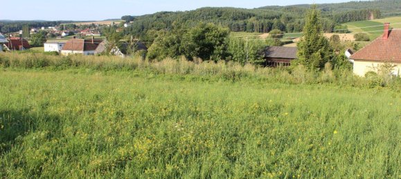 Terrain à Pilgersdorf, Austria No. 226147 3
