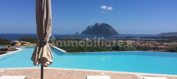 6 bedrooms Villa in Loiri Porto San Paolo, Italy No. 58745 5