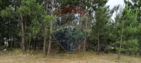 Terreno en Marinha Grande, Portugal 3793 m² No. 64311 6