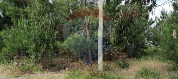 Terreno en Marinha Grande, Portugal 3793 m² No. 64311 8