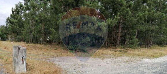 Terreno en Marinha Grande, Portugal 3793 m² No. 64311 5