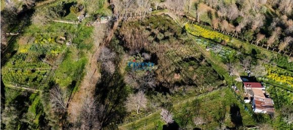 Terrain à Camerota, Italy 6000m² No. 80424 3