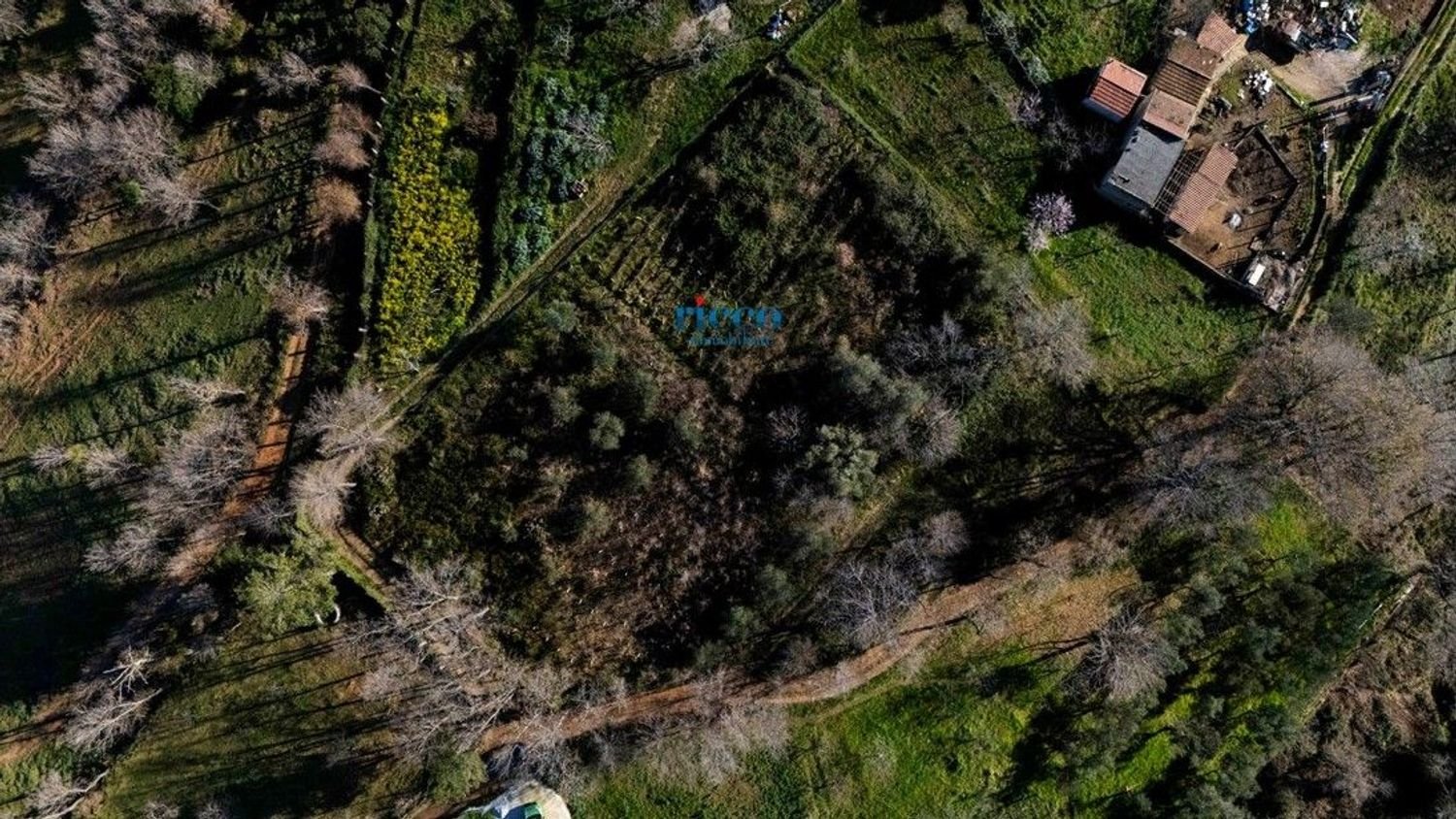 Terrain à Camerota, Italy 6000m² No. 80424