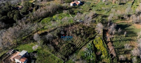 Terrain à Camerota, Italy 6000m² No. 80424 4