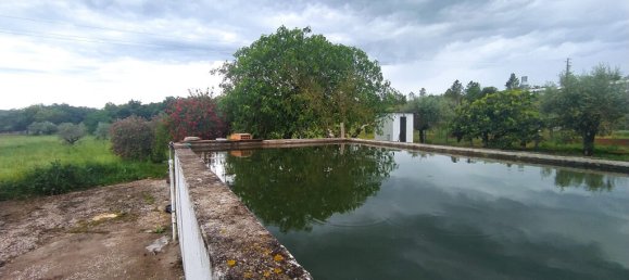 3 bedrooms House in Torres Novas, Portugal No. 14505 27