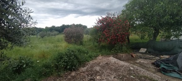 3 bedrooms House in Torres Novas, Portugal No. 14505 33