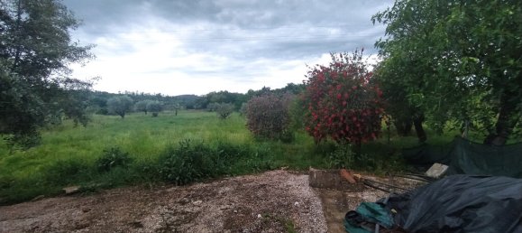 3 bedrooms House in Torres Novas, Portugal No. 14505 29