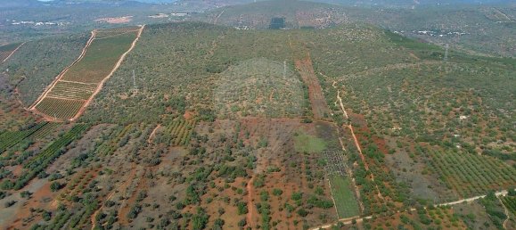 قطعة أرض في Paderne, Portugal 14880متر مربع رقم 155622 5