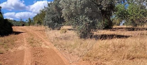 قطعة أرض في Paderne, Portugal 14880متر مربع رقم 155622 2