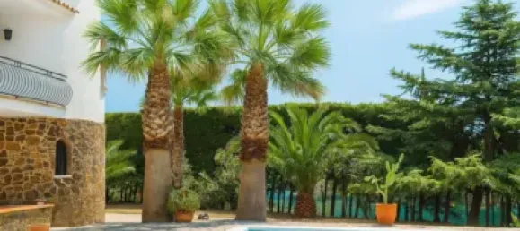 5 bedrooms House in Castell-Platja d'Aro, Spain No. 173227 14