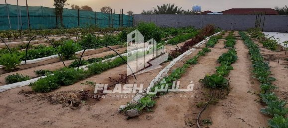 18581m² Land in Ras Al Khaimah, UAE No. 107344 10