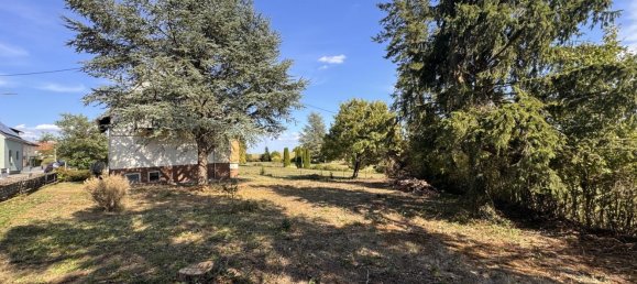 5 غرف نوم منزل في Kusel, Germany رقم 269904 4