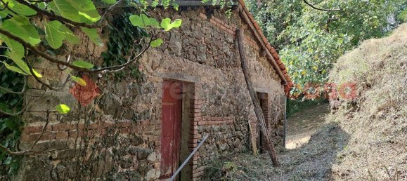 Studio in San Romano in Garfagnana, Italy No. 73445 15