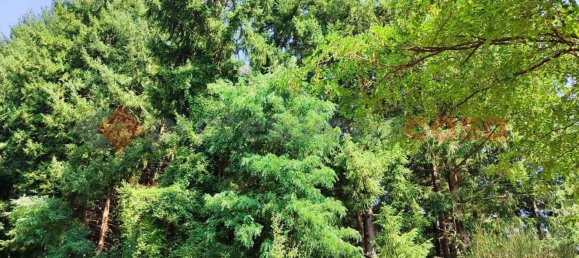 Studio in San Romano in Garfagnana, Italy No. 73445 34