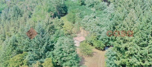 Studio in San Romano in Garfagnana, Italy No. 73445 3