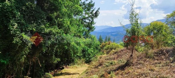 Studio in San Romano in Garfagnana, Italy No. 73445 27