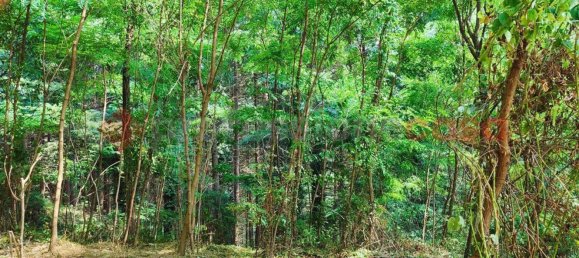 Studio in San Romano in Garfagnana, Italy No. 73445 31