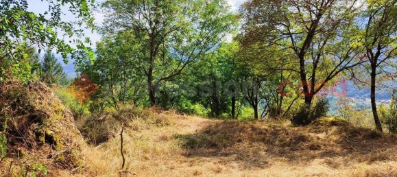 Studio in San Romano in Garfagnana, Italy No. 73445 26