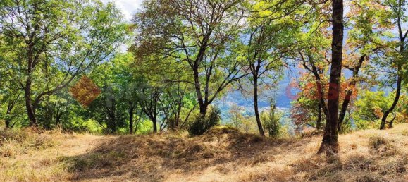 Studio in San Romano in Garfagnana, Italy No. 73445 25
